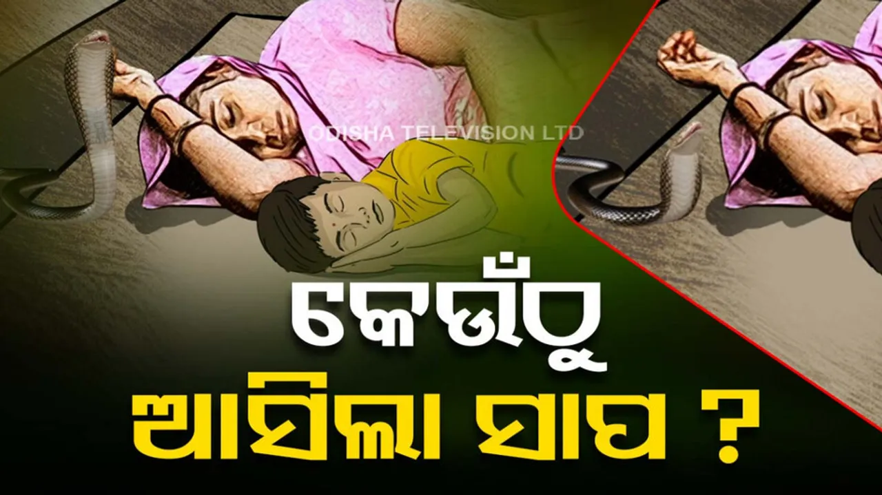 Man kills wife and daughter by using poisonous snake