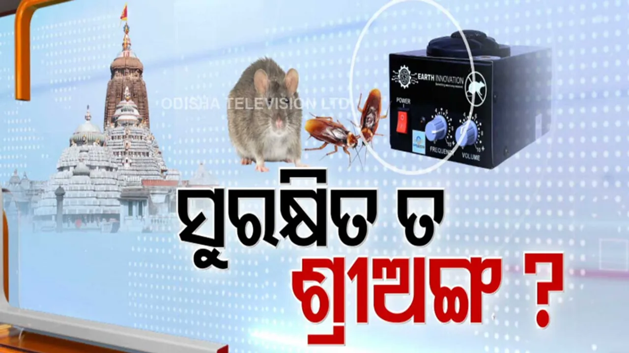 Rodent menace in Puri Srimandir
