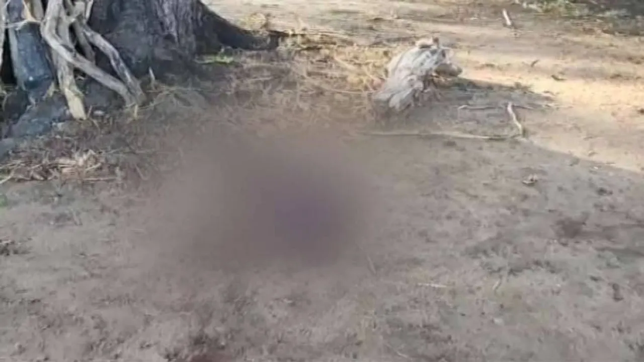 ମାଓବାଦୀଙ୍କ ବର୍ବରକାଣ୍ଡ : ଯବାନଙ୍କୁ ଗଳାକାଟି ହତ୍ୟା