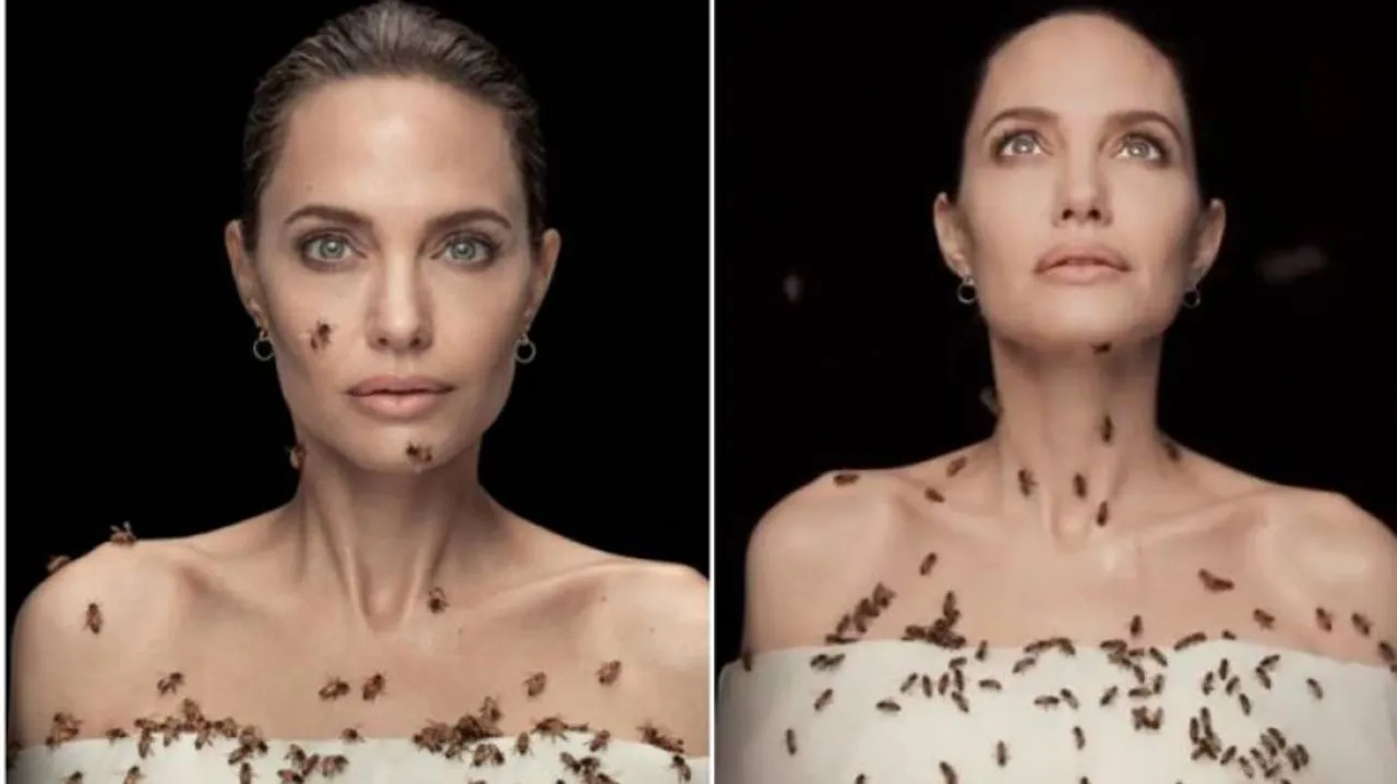 ଆଞ୍ଜେଲିନାଙ୍କ ଉପରେ ଶହ ଶହ ମହୁମାଛି