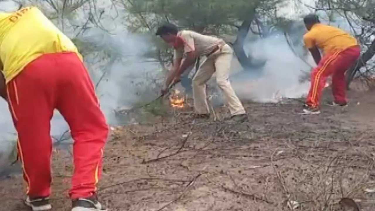 ବାଲୁଖଣ୍ଡ ଅଭୟାରଣ୍ୟରେ ନିଆଁ