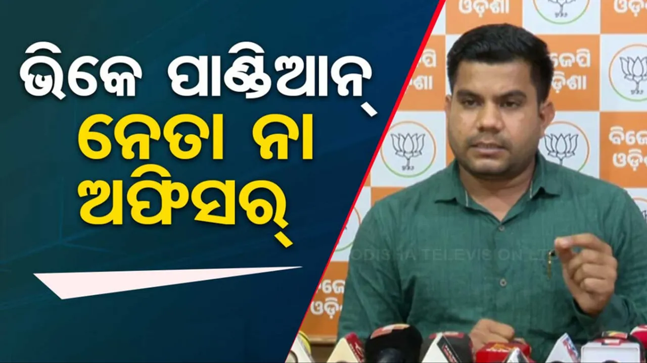 Who Is VK Pandian: Anil Biswal