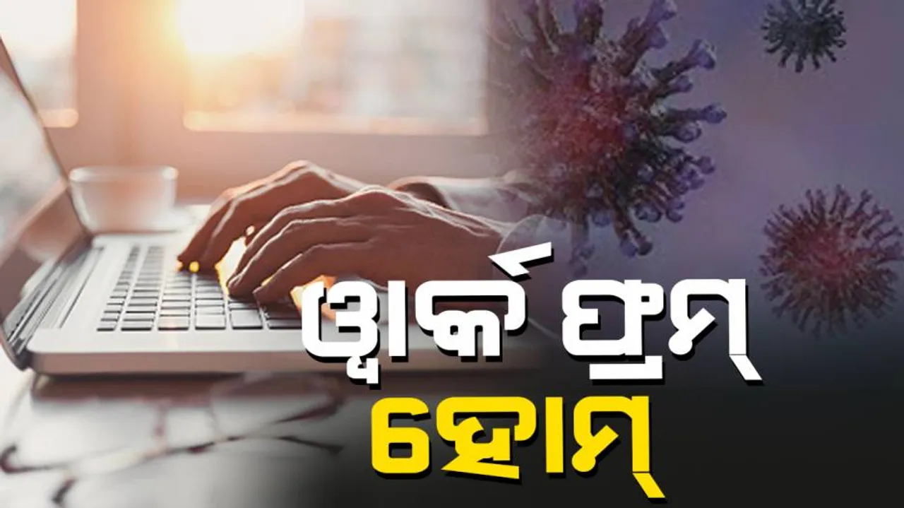 ୱର୍କ ଫ୍ରମ୍ ହୋମର କେତେକ ଲାଭ