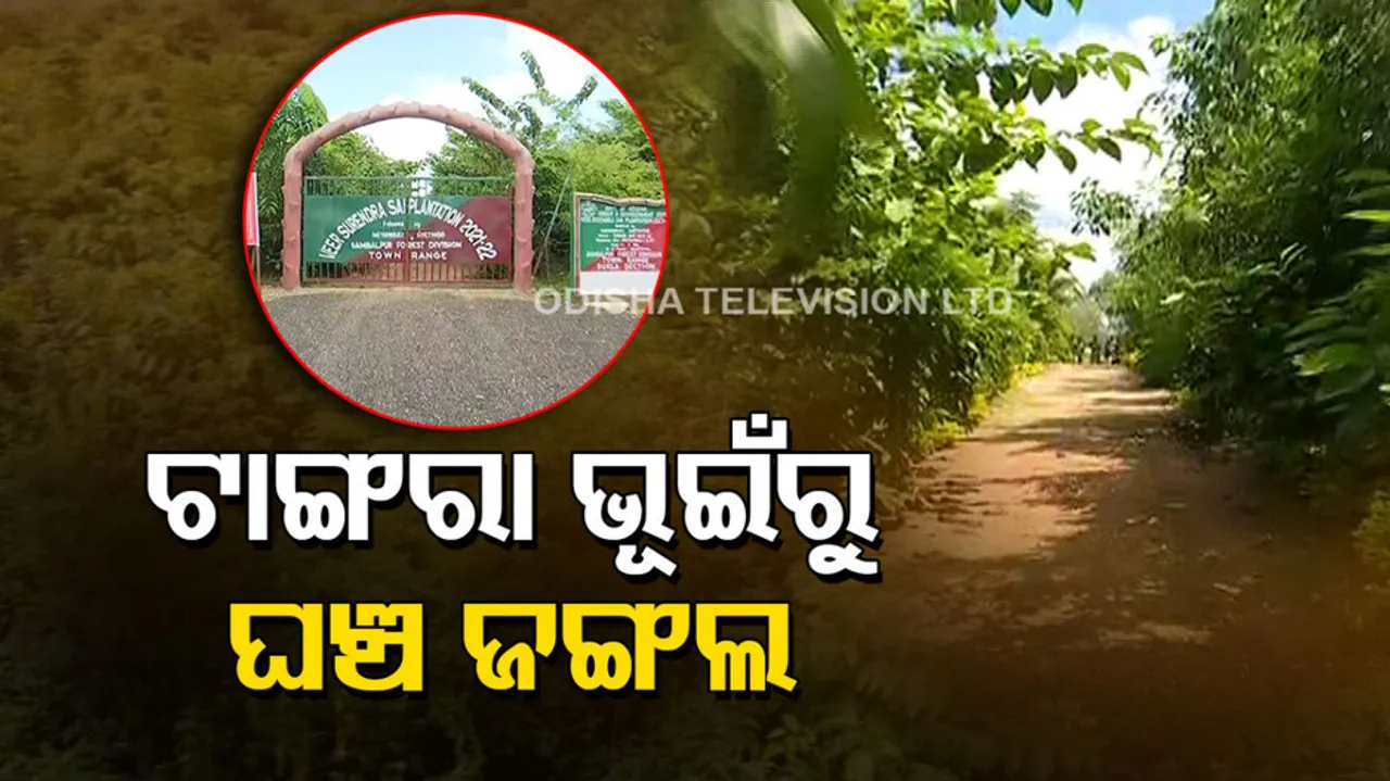 Japanese plantation Method