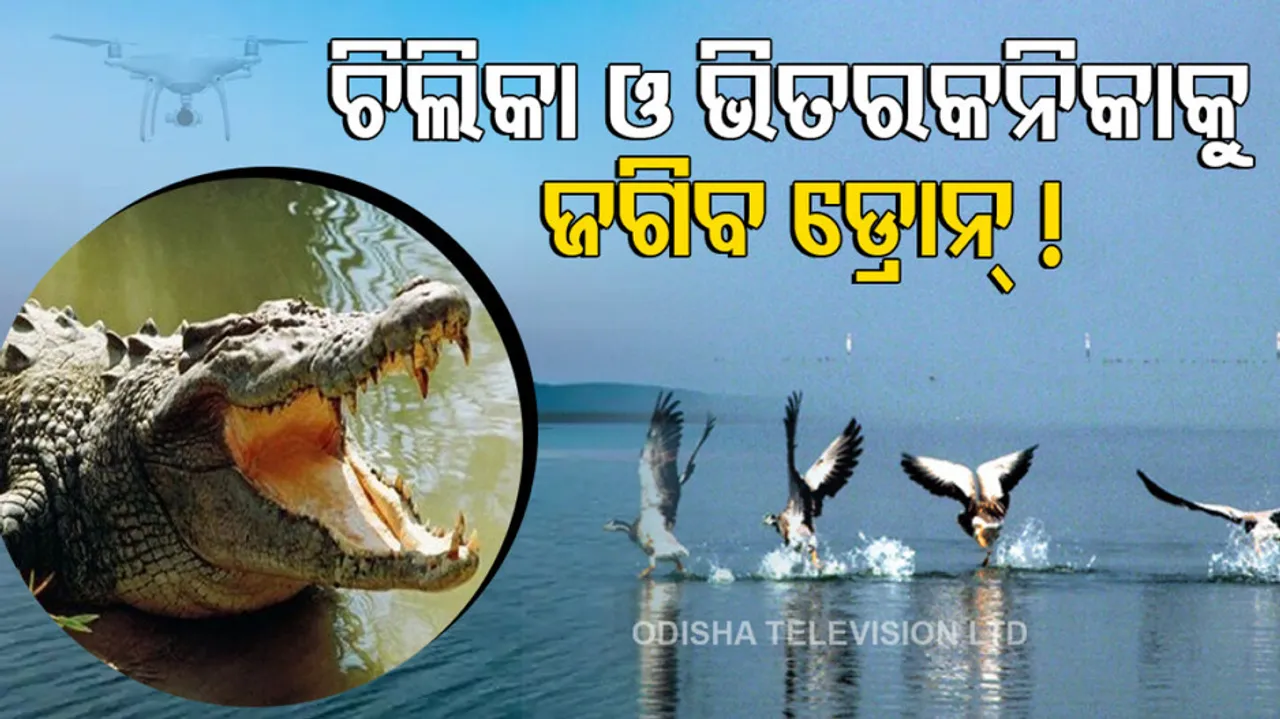 Drones to Guard Chilika Lake