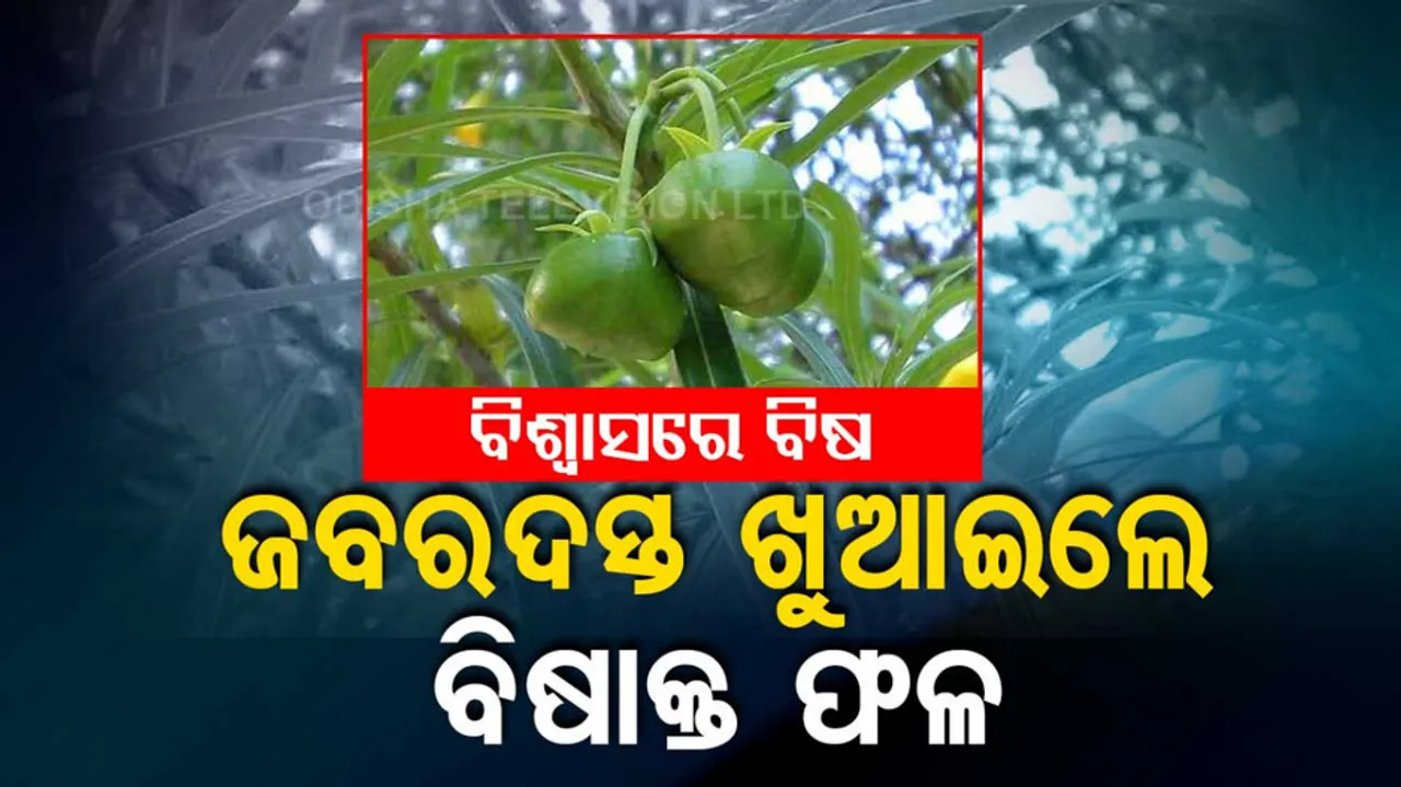 Schoolboy Force-Fed Poisonous Fruit By Fellow Students