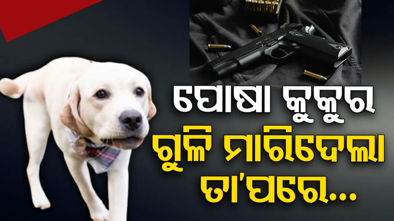 Dog Shoots Kills 30 year old US Man