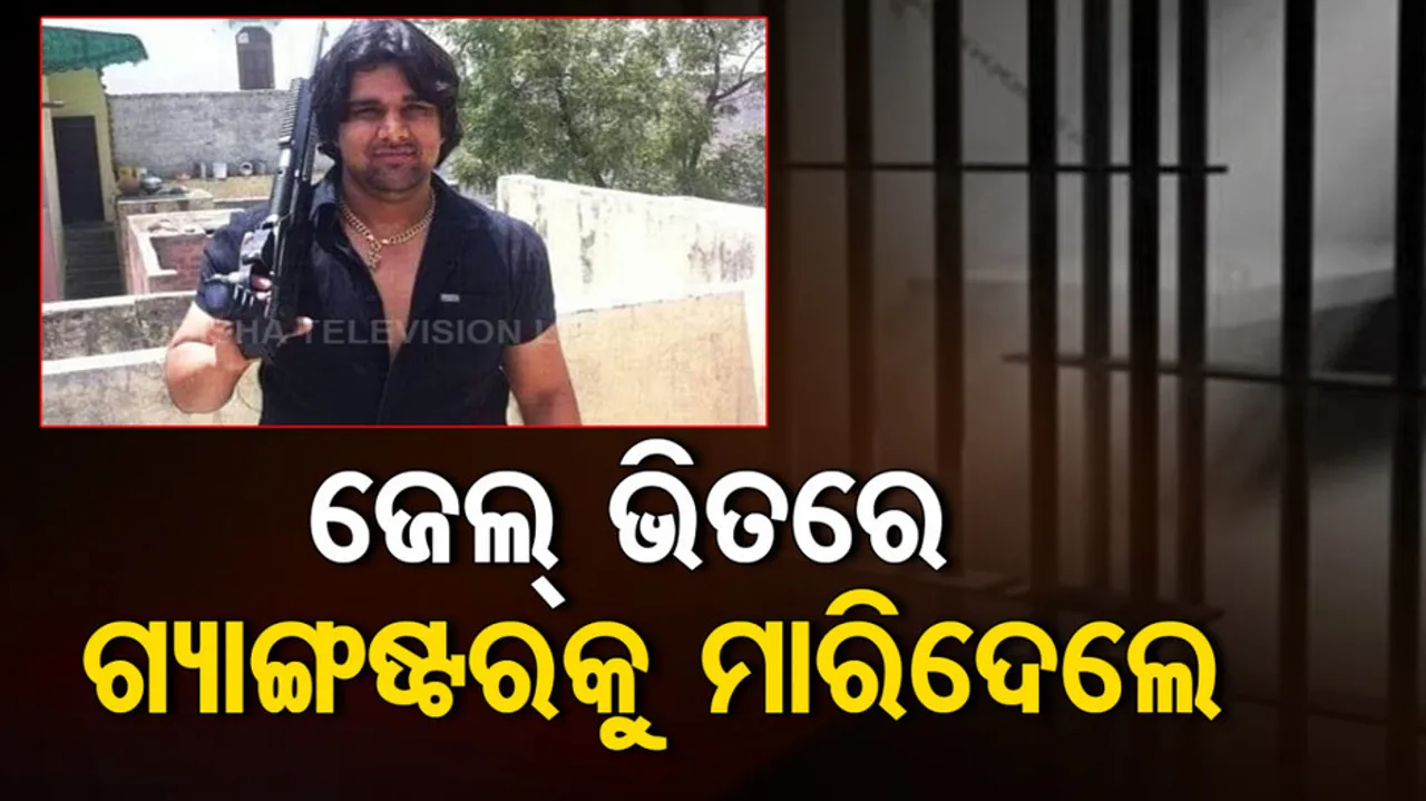 Gangster Killed By Rivals In Tihar Jail