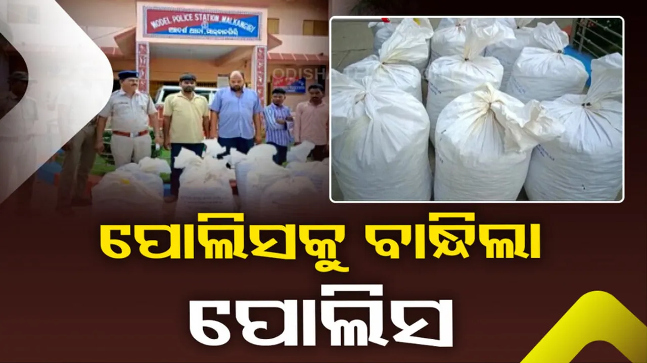 103 Kg Ganja Seized In Malkangiri