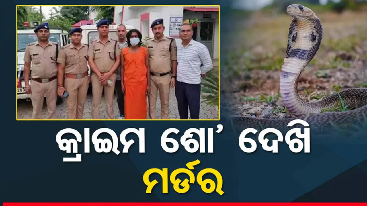 woman watched Crime Patrol to plan murder of boyfriend 