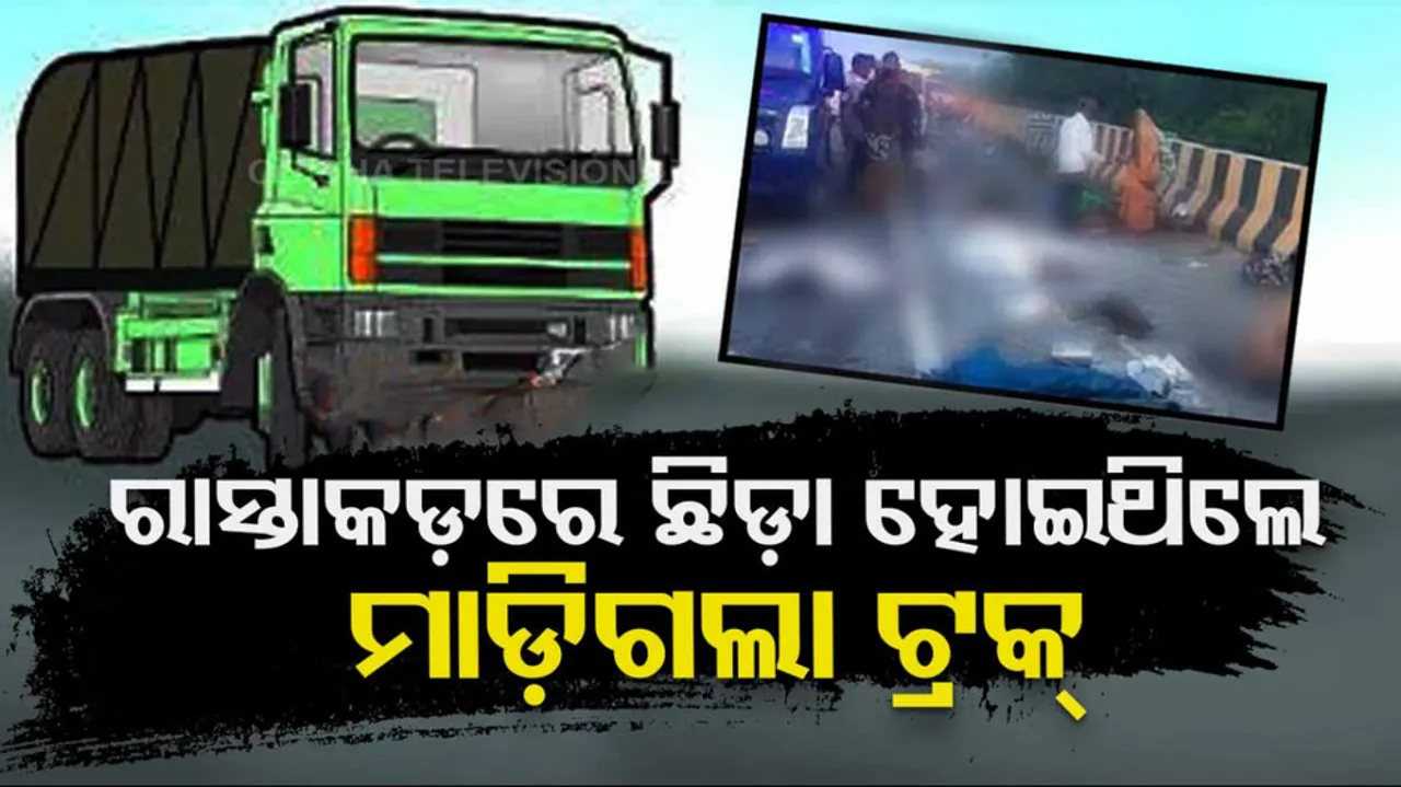 11 People Killed As Truck Runs Over Them While Waiting On Rajasthan Highway 