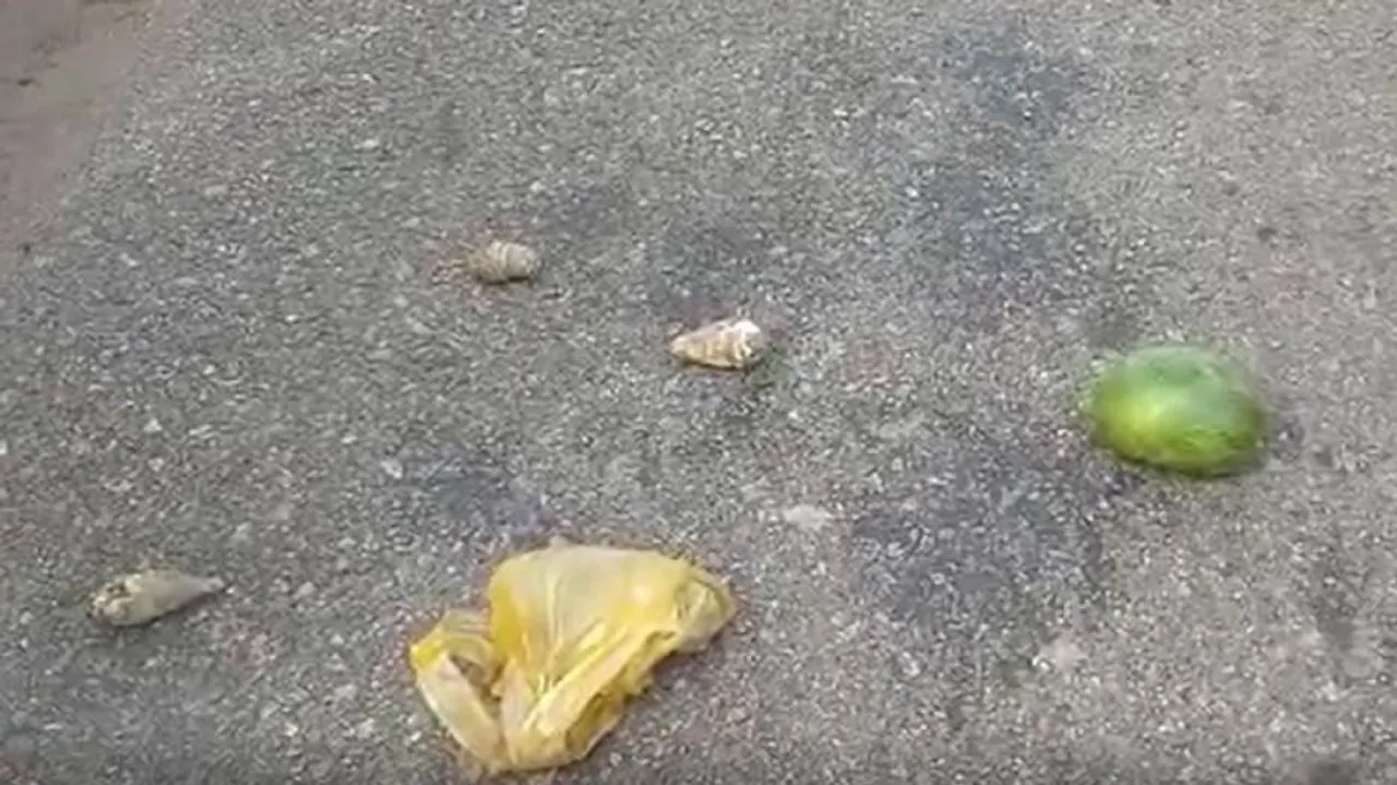 ରାସ୍ତାରେ ଚାଲିଗଲା ମାମୁ-ଭଣଜାଙ୍କ ଜୀବନ