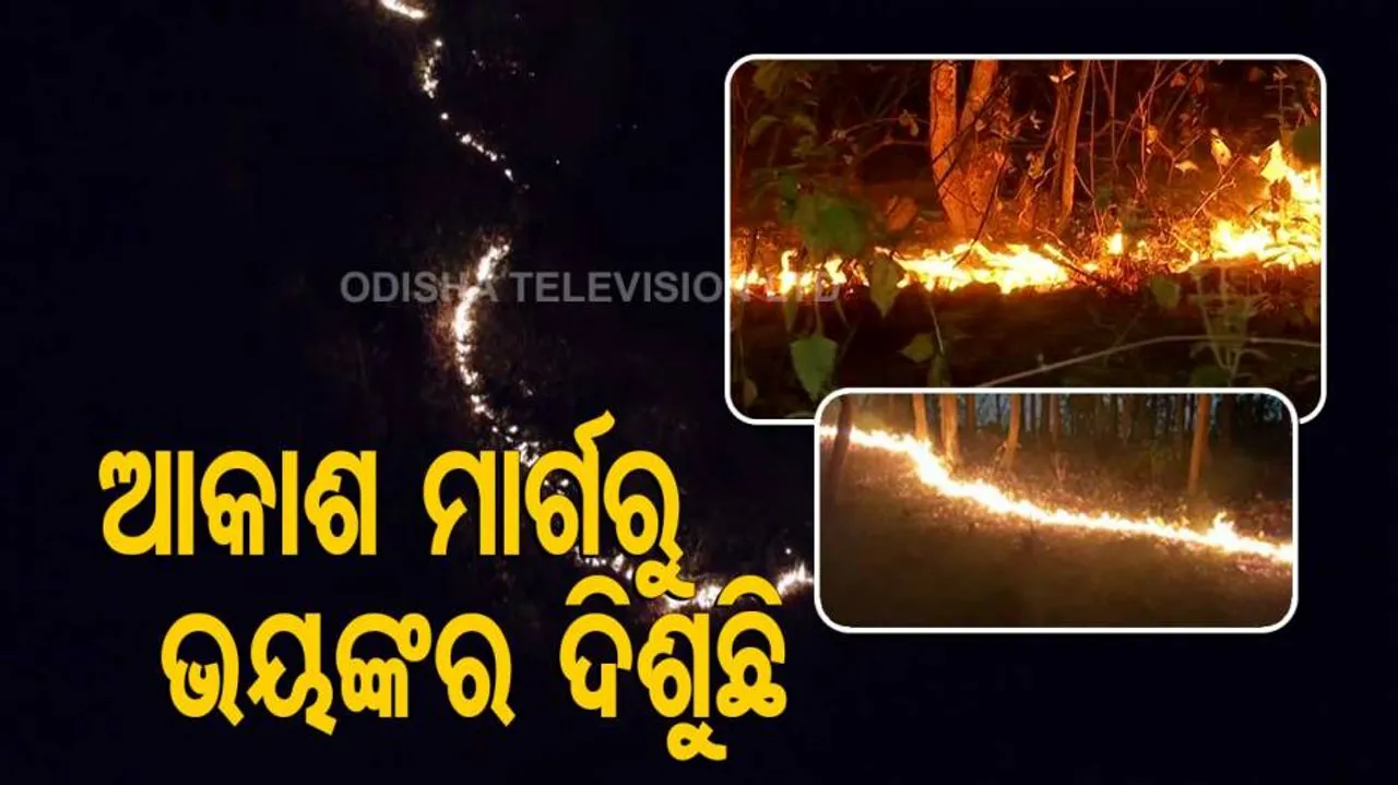 ମାଲକାନଗିରିରେ ଜଳୁଛି ଜଙ୍ଗଲ; ୧୦ଟି ପାହାଡ଼କୁ ବ୍ୟାପିଲାଣି ନିଆଁ