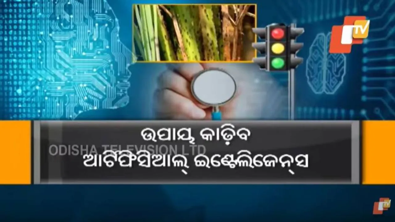 ଉପାୟ ବାହାର କରିବ ଆର୍ଟିଫିସିଆଲ୍ ଇଣ୍ଟେଲିଜେନ୍ସ