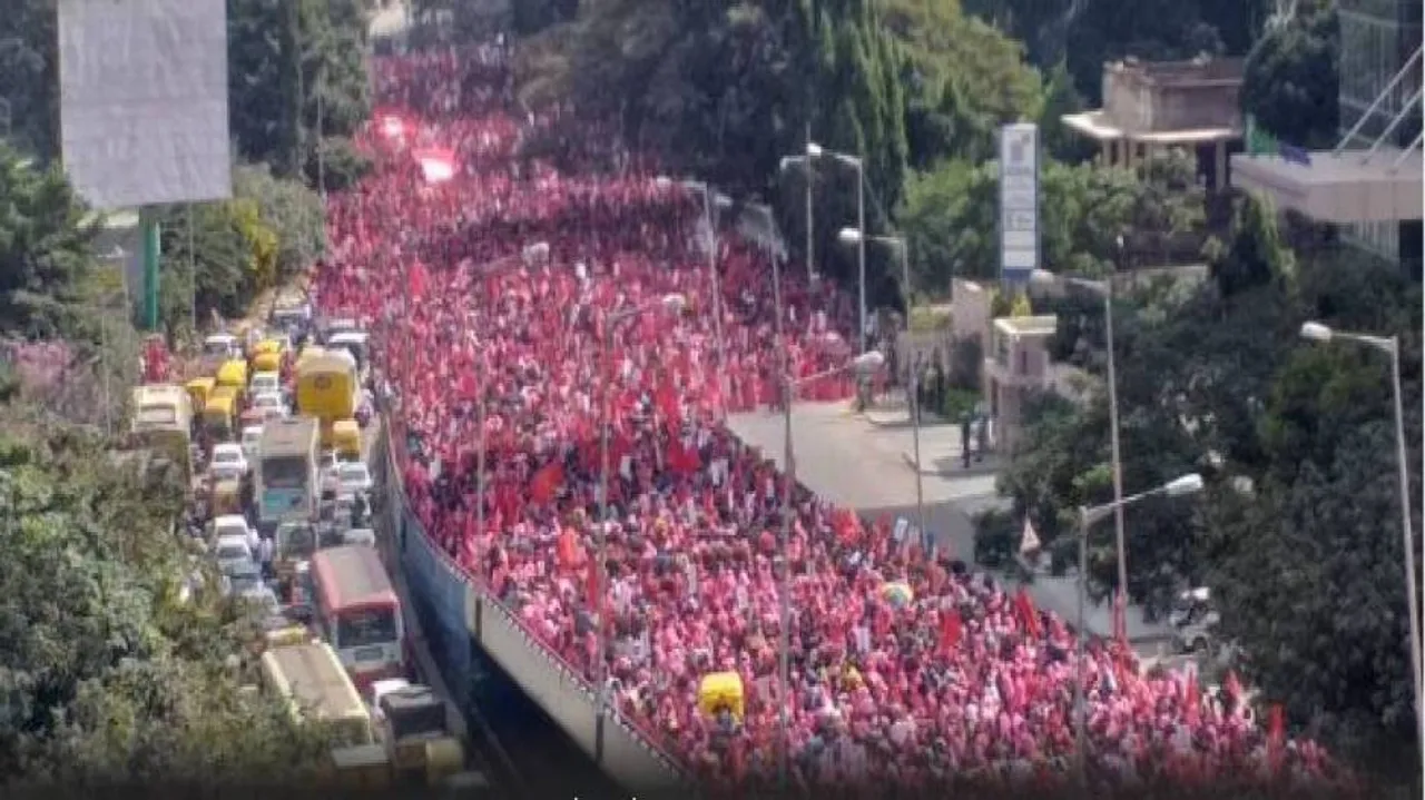 ବେଙ୍ଗାଲୁରୁ ଗୋଲାପୀ ଗୋଲାପୀ