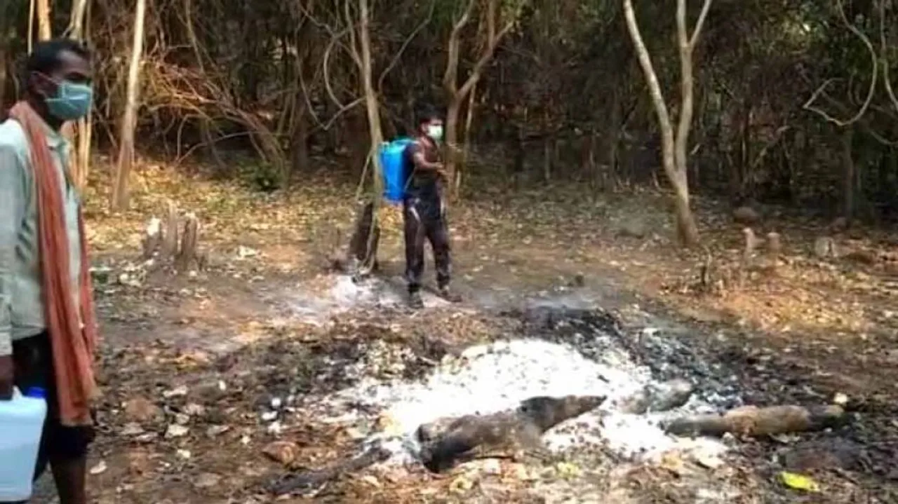 କୁଲଢ଼ିଆ ଅଭୟାରଣ୍ୟରେ ଆନ୍ଥ୍ରାକ୍ସ ଭୟ