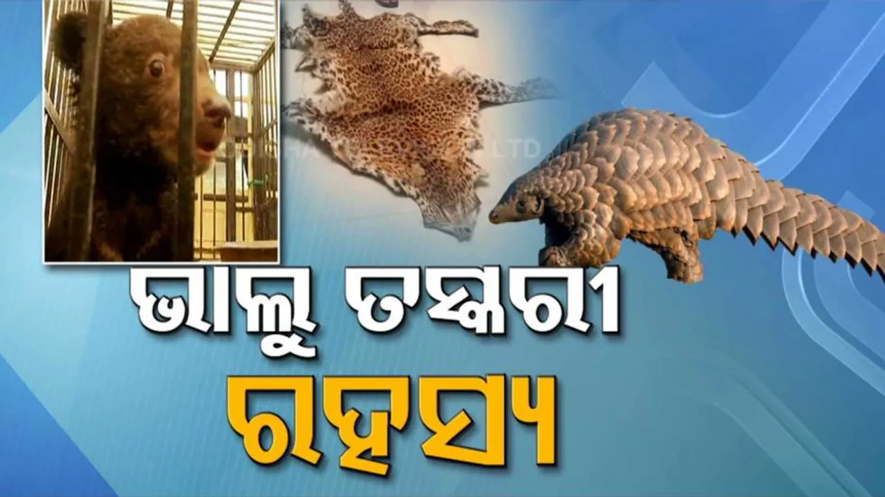 ପ୍ରତିଦିନ: ଏହି ଭିଡ଼ିଓରେ ଦେଖନ୍ତୁ ଦିନ ତମାମର ଅନେକ ଗୁରୁତ୍ୱପୂର୍ଣ୍ଣ ଖବର