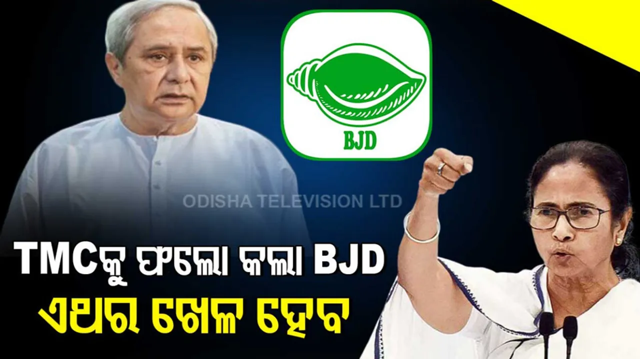 bjd 