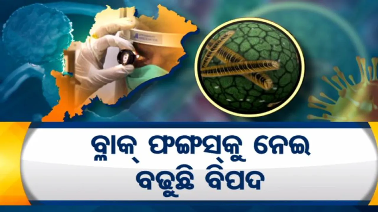 ବ୍ଲାକ୍ ଫଙ୍ଗସ୍‌କୁ ନେଇ ବଢୁଛି ବିପଦ