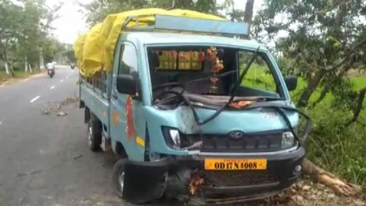 ଗଛରେ ପିଟିହେଲା ଟାଟା ମ୍ୟାଜିକ