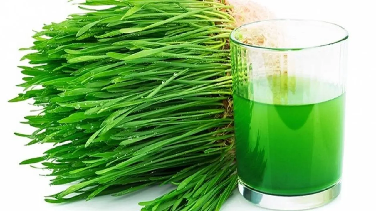 ଜାଣନ୍ତି କି ଗହମ ଘାସ ରସର ଚତ୍ମକାରୀ ଗୁଣ