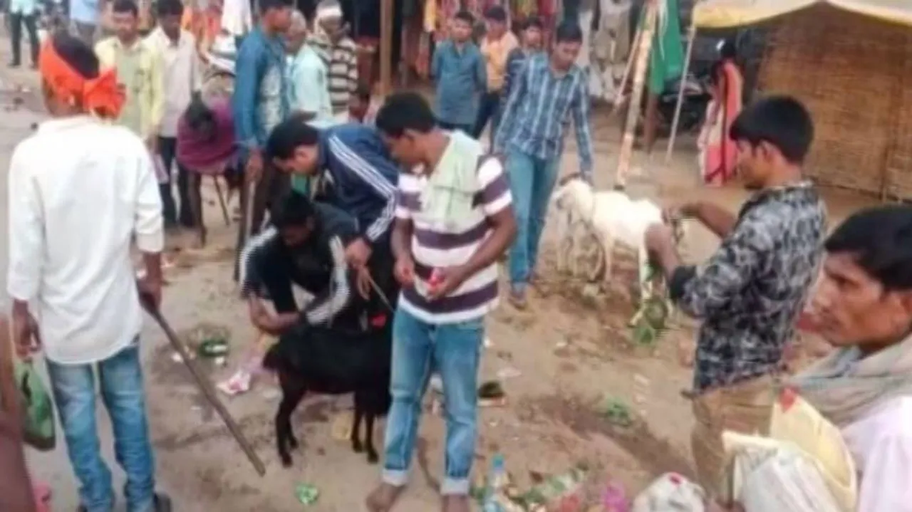 'ପଶୁବଳି ପଡ଼ିଲେ ଜିଲ୍ଲାପାଳ, ଏସ୍‌ପି ବ୍ୟକ୍ତିଗତ ଭାବେ ଦାୟୀ'