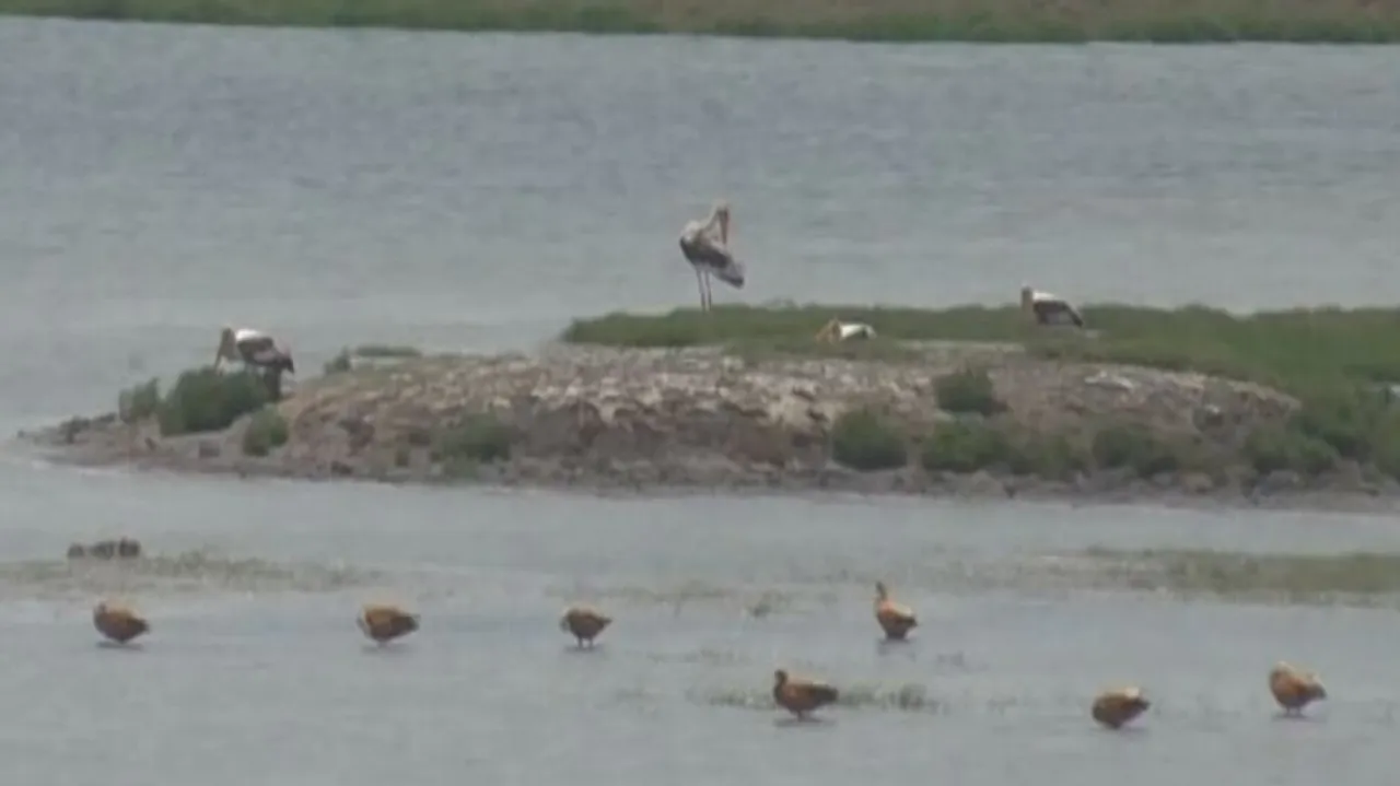 chilika