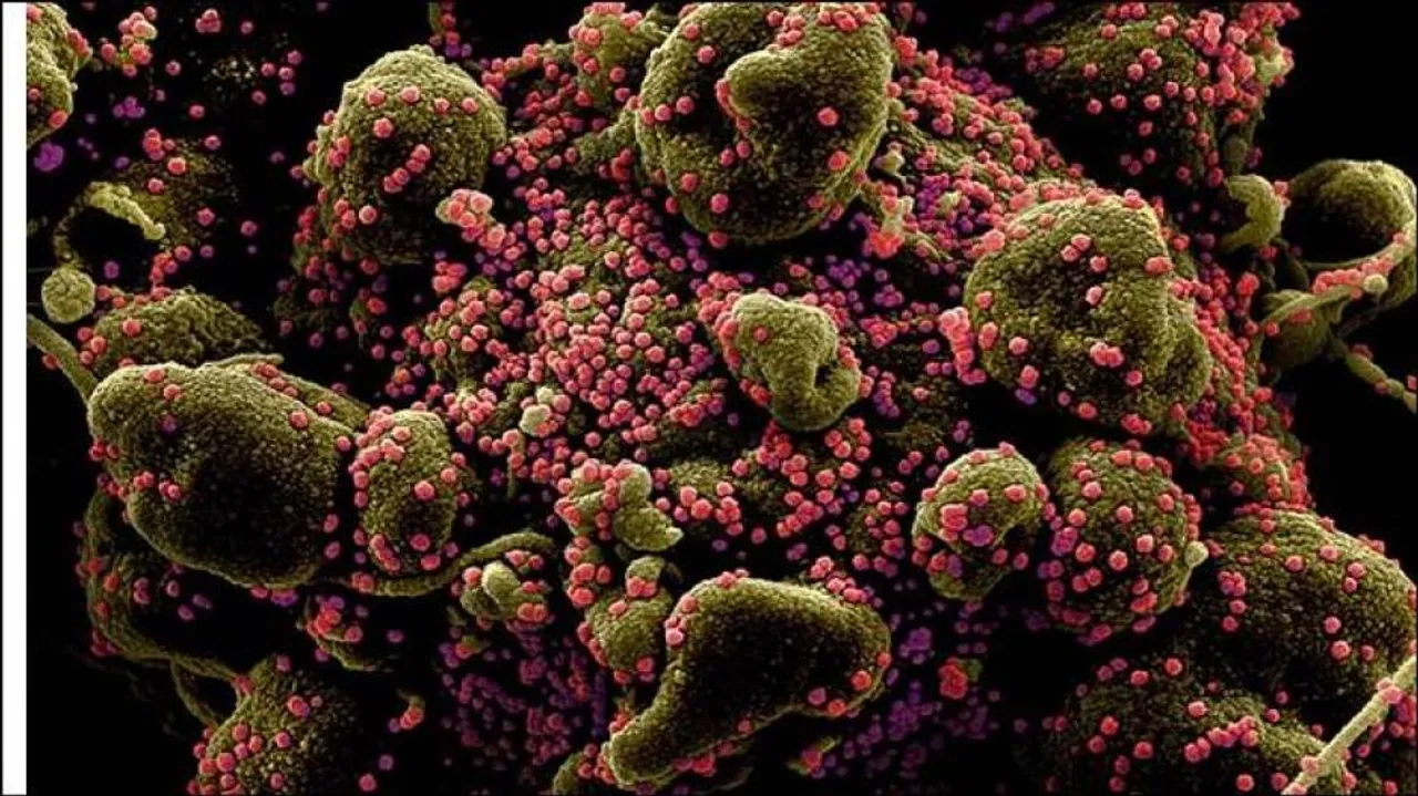 କରୋନା ଭାଇରସକୁ ଜୈବିକ ଅସ୍ତ୍ର ଭାବେ ବ୍ୟବହାର କରିବା ପାଇଁ ୨୦୧୫ରୁ  ଯୋଜନା କରୁିଥିଲା ଚୀନ