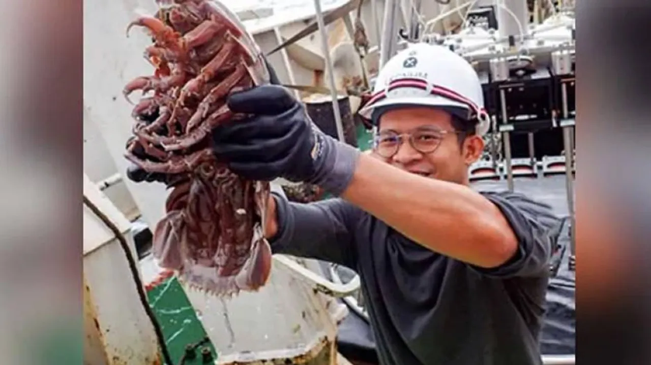 ୧୪ ଗୋଡ଼ ଥିବା ଅସରପା, ଯାହାର ଫଟୋ ଏବେ ଭାଇରାଲ