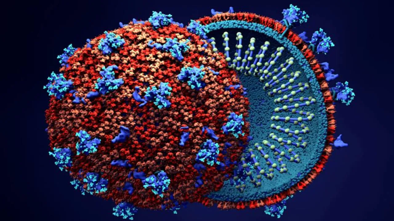 ରାଜ୍ୟରେ ଆଉ ୧୧ ଜୀବନ ନେଲା କରୋନା