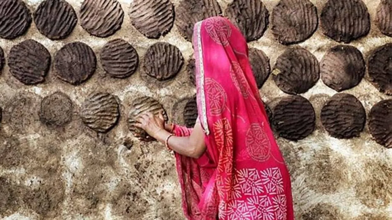 ଲୁଟେରାଙ୍କ ଟାର୍ଗେଟ୍‌ରେ ଗୋବର ! ରାତି ଅଧରେ ଲୁଟି ନେଲେ ୮୦୦ କେଜି