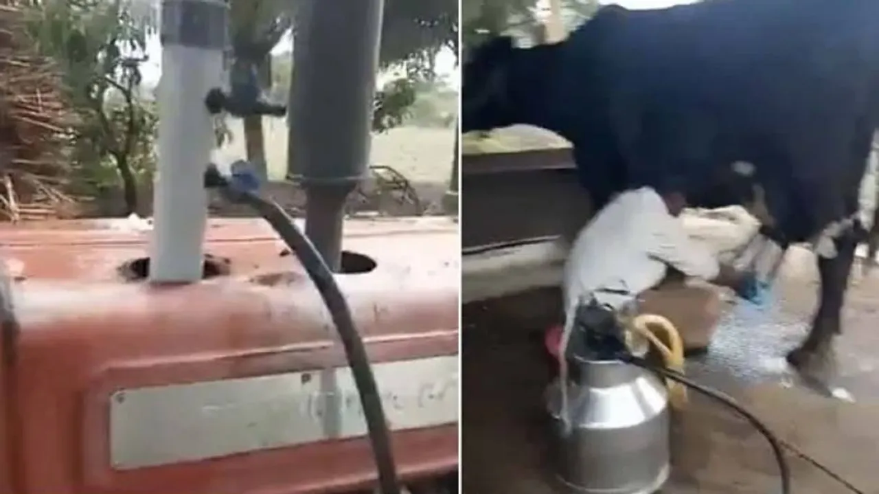 ଟ୍ରାକ୍ଟର ସାହାଯ୍ୟରେ ବାହାରିଲା ଗାଈ ଦୁଗ୍ଧ, ଭିଡିଓ ଶେୟାର କଲେ ମହିନ୍ଦ୍ରା ଗ୍ରୁପ୍‌ର ଚେୟାରମ୍ୟାନ୍‌