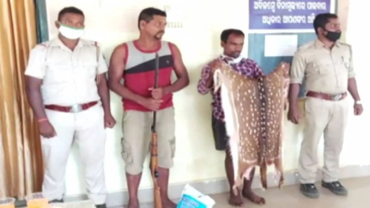 ହରିଣ ଶିକାରୀ ରାକେଟ୍ ଗିରଫ୍