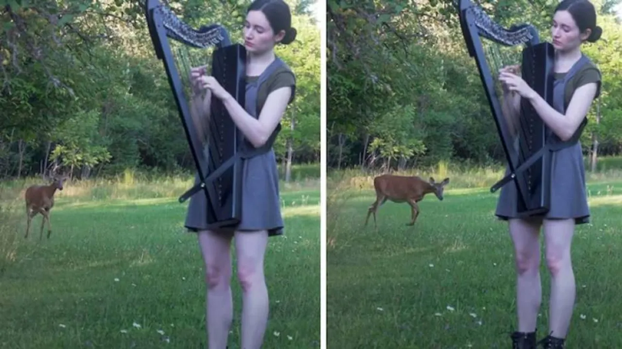 ଝିଅଟି ପାର୍କରେ ବୀଣା ବଜାଉଥିଲେ, କିନ୍ତୁ ହଠାତ୍‌ ତାଙ୍କ ପଛରେ...