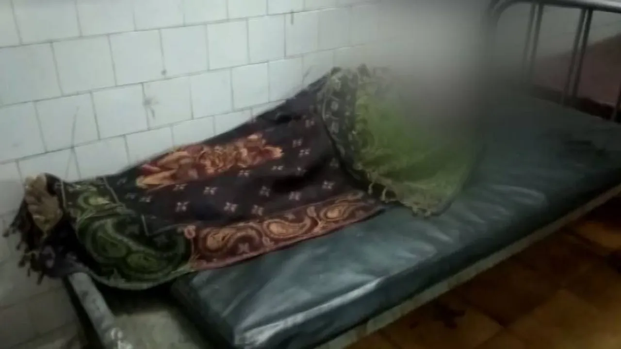 ଦଳି ମାରିଦେଲା ହାତୀ