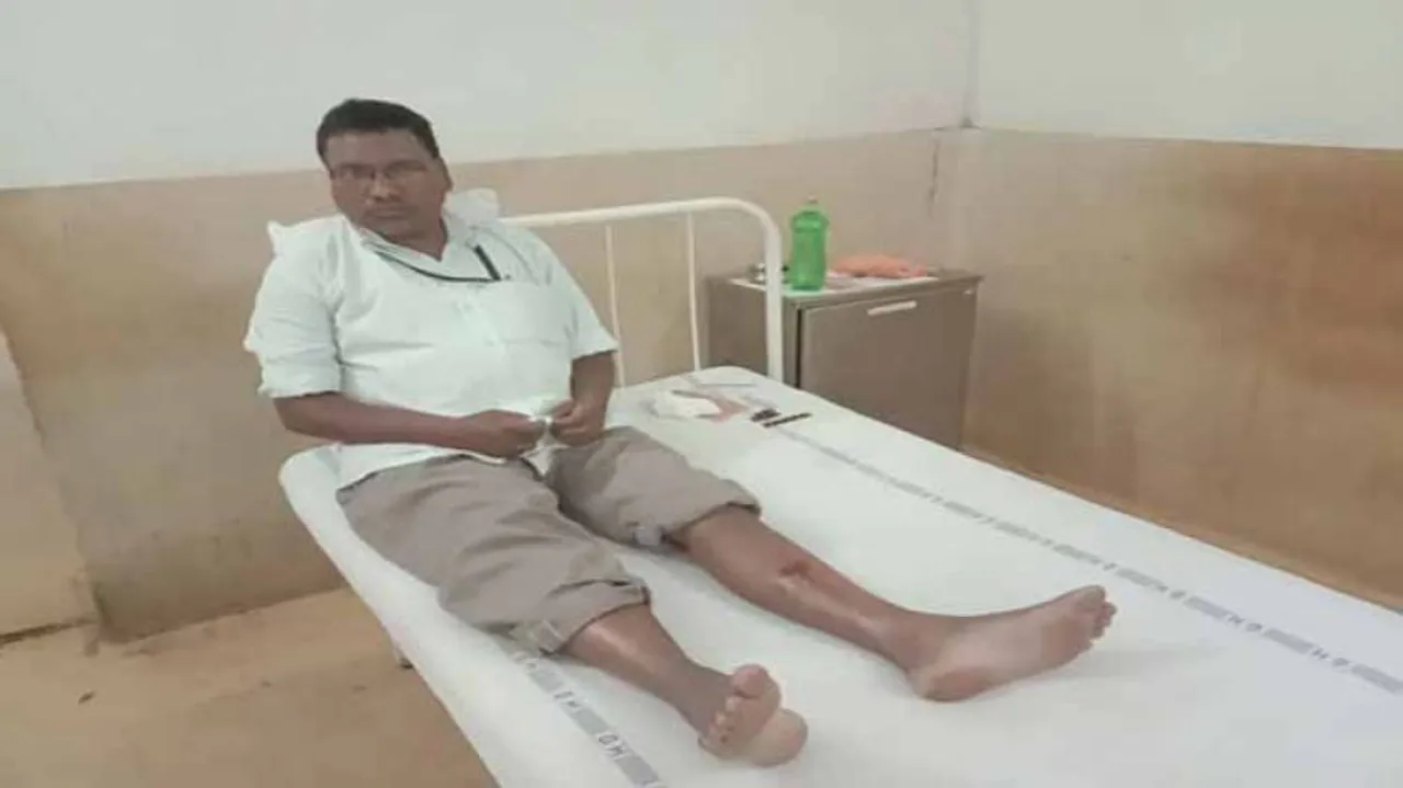 ପାଗଳା କୁକୁର କାମୁଡ଼ାରେ ୧୨ ଆହତ