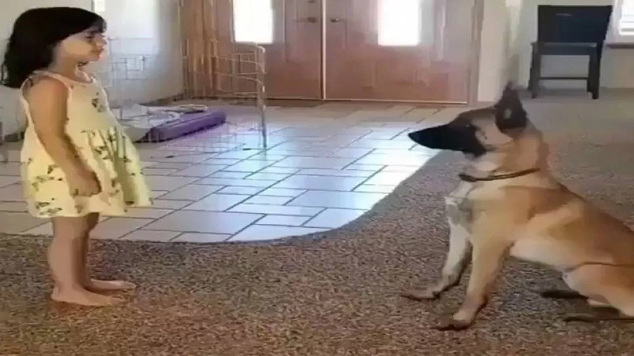 ଲକ୍‌ଡାଉନ୍‌ର ସାଥୀ, ଲୁଚକାଳି ଖେଳରେ ପାର୍ଟନର ହେଲା କୁକୁର