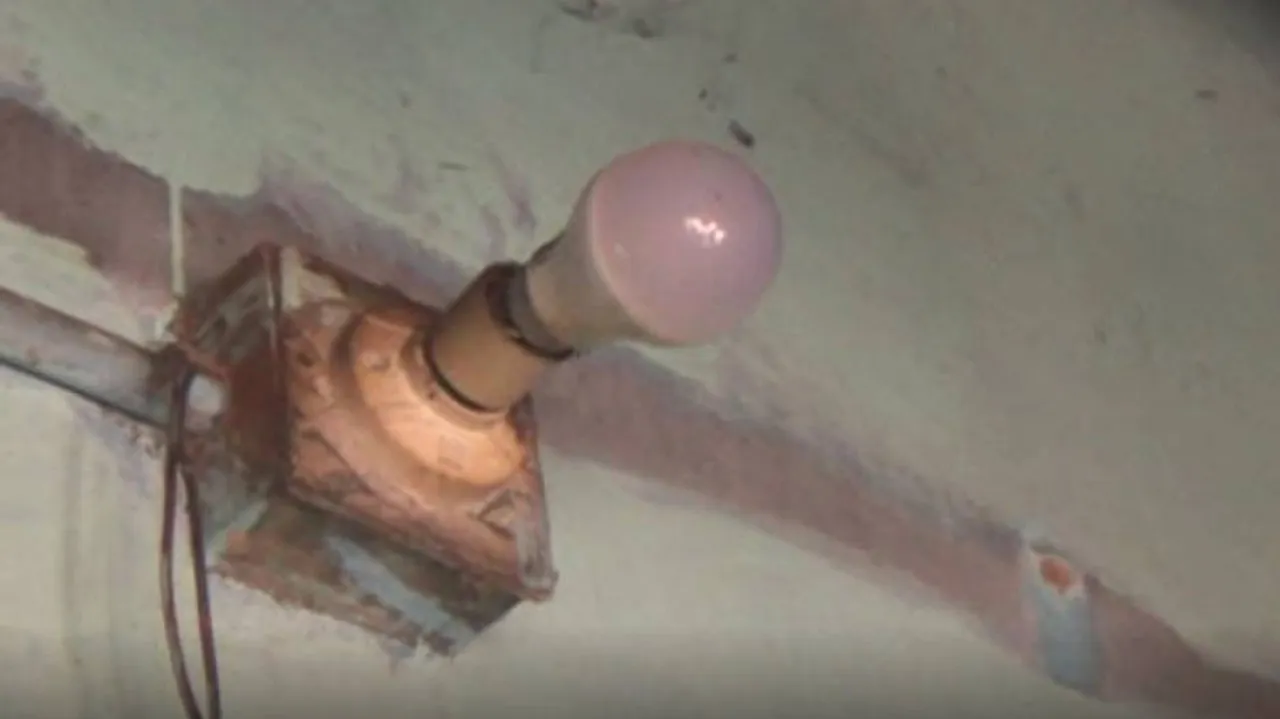 ଘରେ ଜଳୁଛି ମାତ୍ର ଗୋଟିଏ ବଲ୍‌ବ, କିନ୍ତୁ ବିଲ୍...