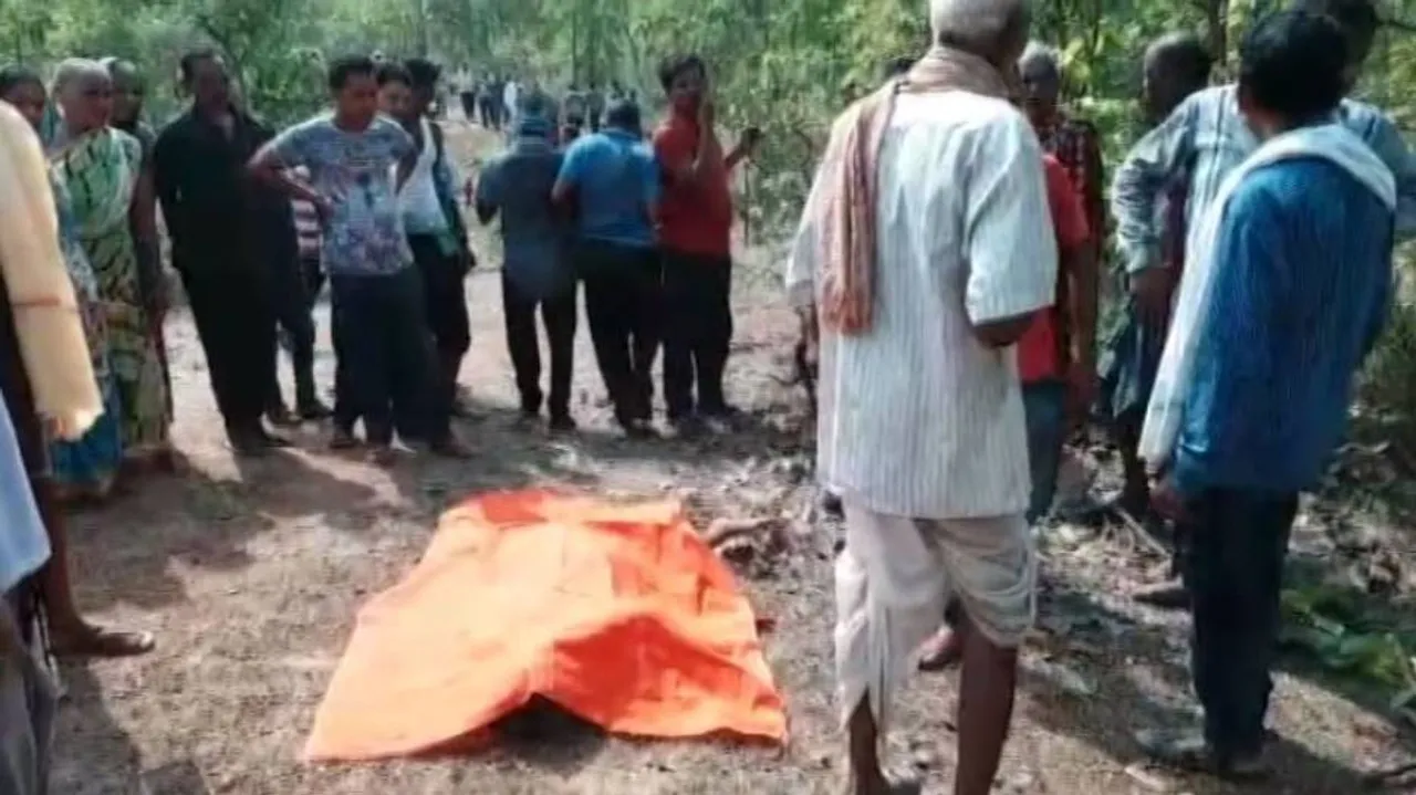 ହାତୀ ଆକ୍ରମଣରେ ୩ଜଣଙ୍କ ମୃତ୍ୟୁ