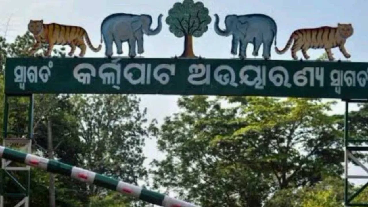 ୧୨ ଦିନ ଭିତରେ କର୍ଲାପାଟ ଅଭୟାରଣ୍ୟରେ ୪ଟି ହାତୀଙ୍କ ମୃତ୍ୟୁ; ତଦନ୍ତ ପାଇଁ ଯିବ ବିଶେଷଜ୍ଞ ଟିମ୍