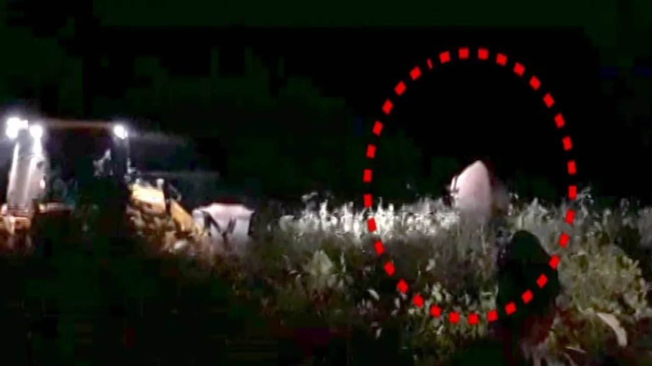 ଧରାପଡ଼ିଲା ନରହନ୍ତା ଦନ୍ତା