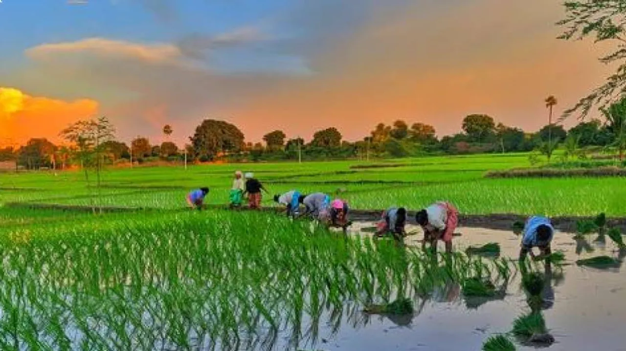 ସଙ୍କଟ କାଳରେ ଚାଷୀଭାଇଙ୍କୁ ଆଶ୍ୱସ୍ତି : କୃଷକଙ୍କ ୫୯୦ କୋଟିର ଋଣ ଛାଡ଼ ଘୋଷଣା କଲେ ସରକାର