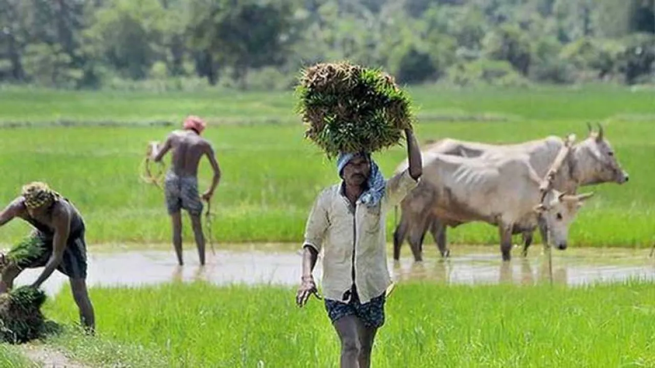 ଖରିଫ ଋତୁ ପାଇଁ ଚାଷୀଙ୍କୁ ୯ ହଜାର କୋଟି ଟଙ୍କାର ଋଣ ଯୋଗାଇବାକୁ ଲକ୍ଷ୍ୟ