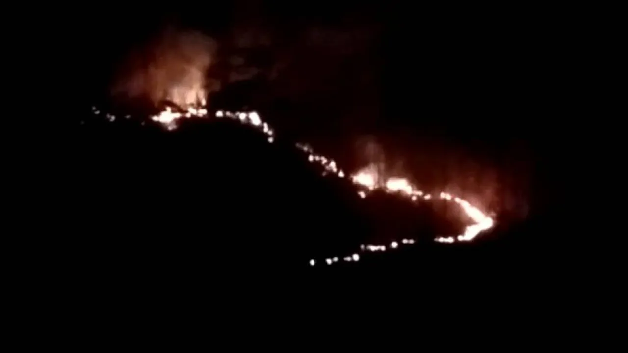 ହୁତୁ ହୁତୁ ହୋଇ ଜଳୁଛି ଜଙ୍ଗଲ