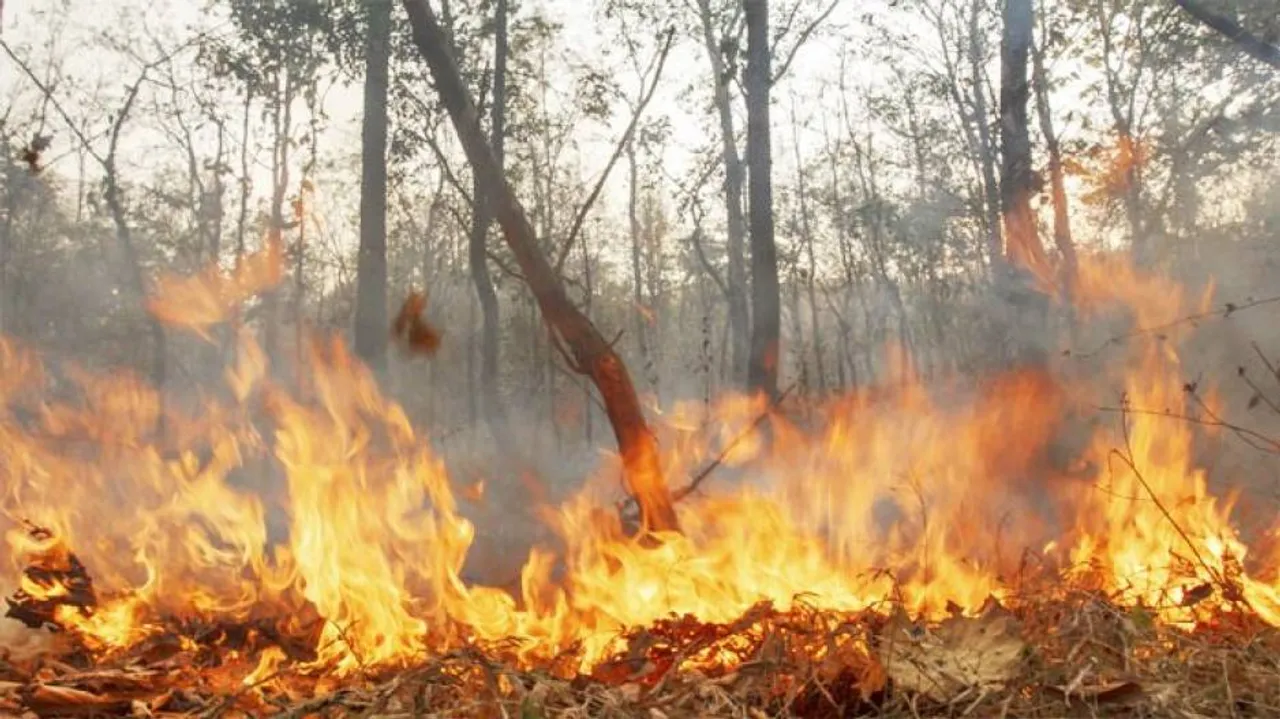 ଜଙ୍ଗଲ ନିଆଁ ରୋକିବାକୁ ସ୍ୱତନ୍ତ୍ର ଆପ୍