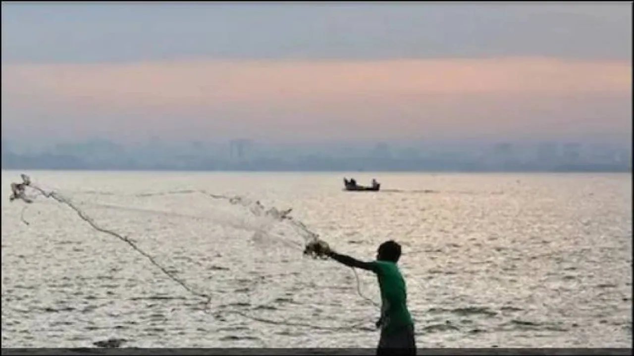 ଉଦ୍ଧାର ହେଲା ୧୦୦ ବର୍ଷ ତଳର ପୁରୁଣା ମାଛ