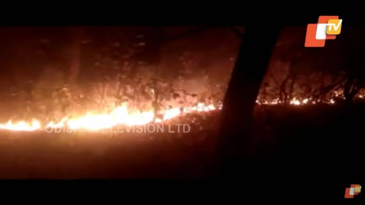 ହୁତୁହୁତୁ ହୋଇ ଜଳୁଛି ସାରା ଓଡ଼ିଶାର ଜଙ୍ଗଲ