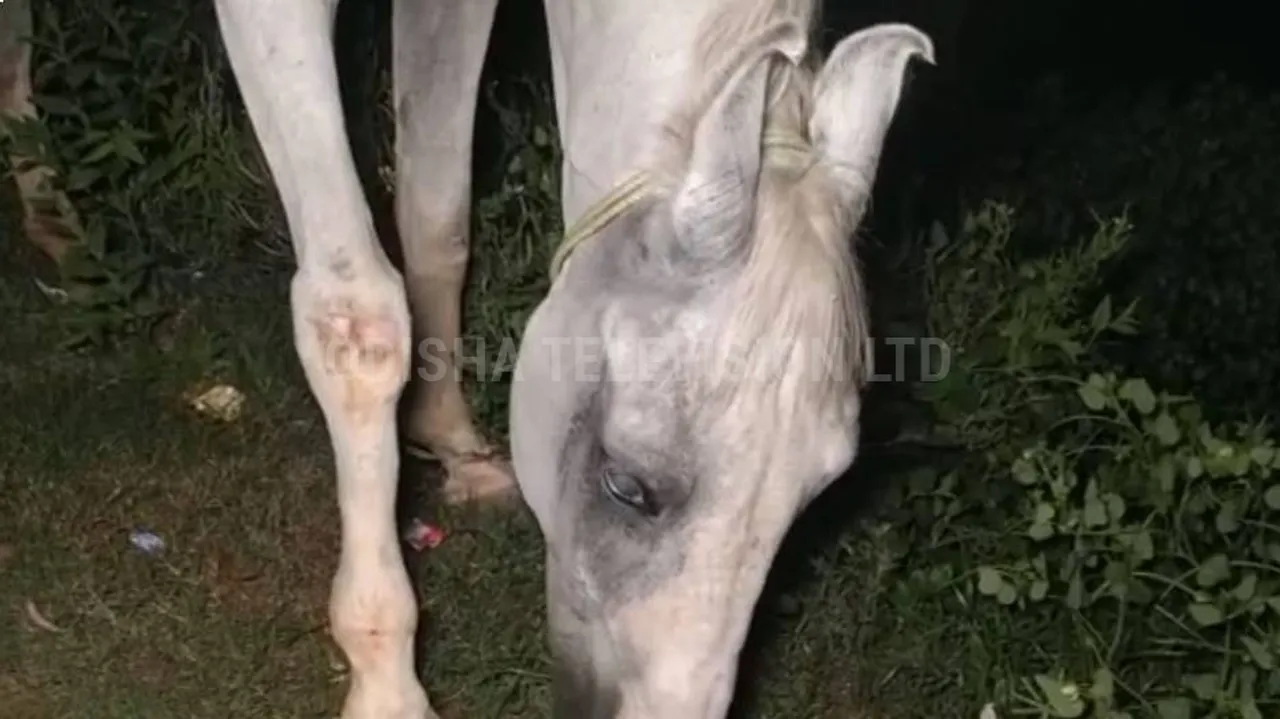 ସରିଗଲା ସ୍ଵାର୍ଥ..ହଜିଗଲା ମାନବିକତା : କାମ ଶେଷ ପରେ ପର କରିଦେଲା ମାଲିକ, ରାସ୍ତା କଡ଼ରେ କଟୁଛି ଦିନ . . .