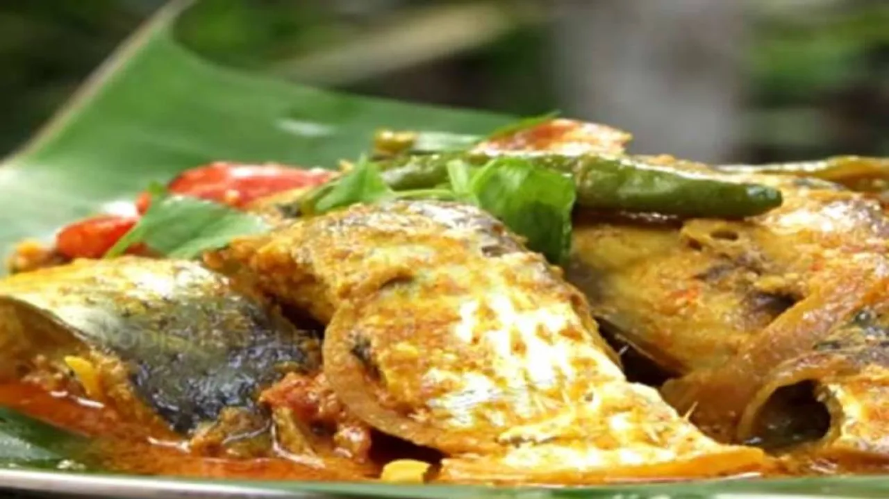 ‘ଇଲିସି ମାଛ ବାଟିବସା’