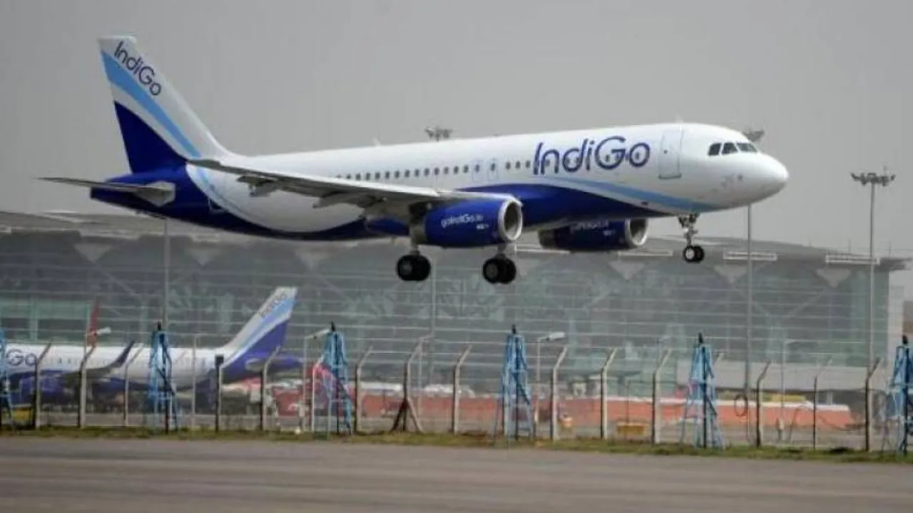 indigo 